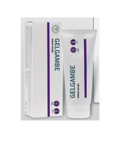 Gel Gambe Ginkgo 100 Ml