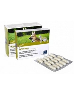 Artosalus Compresse 30cpr