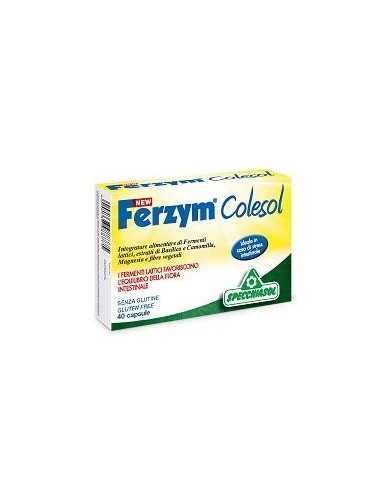 New Ferzym Colesol 40 Capsule