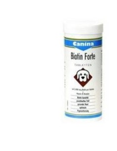 Biotin Forte Polvere 100 G