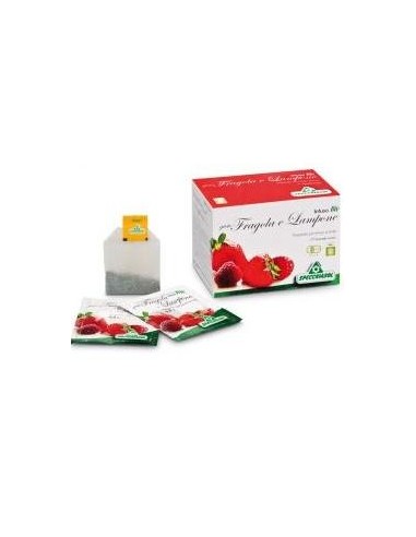 Infuso Fragola/lampone 20bust