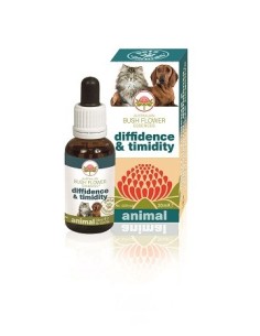 Diffidence & Timidity 30 Ml