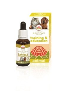 Training & Education 30 Ml