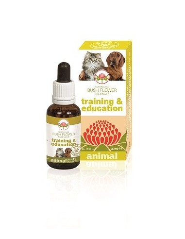 Training & Education 30 Ml