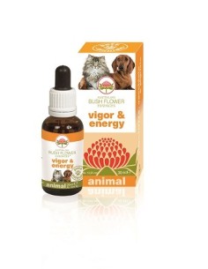 Vigor & Energy 30 Ml