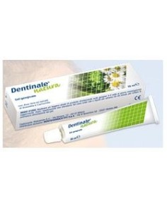 Dentinale Natura Gel Gengivale 20 Ml