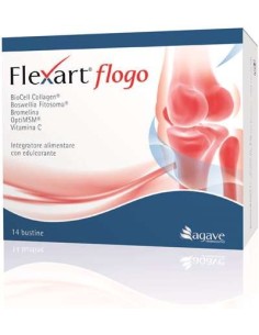 Flexart Flogo 14 Bustine 4,5 G