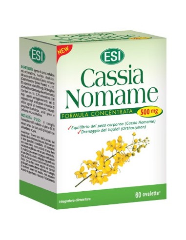 Cassia Nomame 60 Ovalette