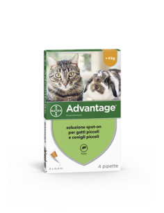 Advantage*spot-on Soluz 4 Pipette 0,4 Ml 40 Mg Gatti E Conigli Piccoli