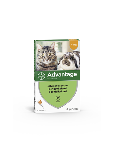 Advantage*spot-on Soluz 4 Pipette 0,4 Ml 40 Mg Gatti E Conigli Piccoli