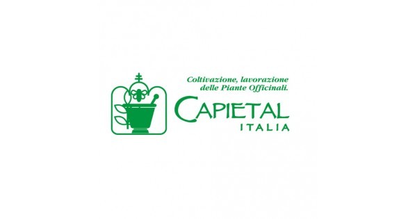 Capietal italia srl