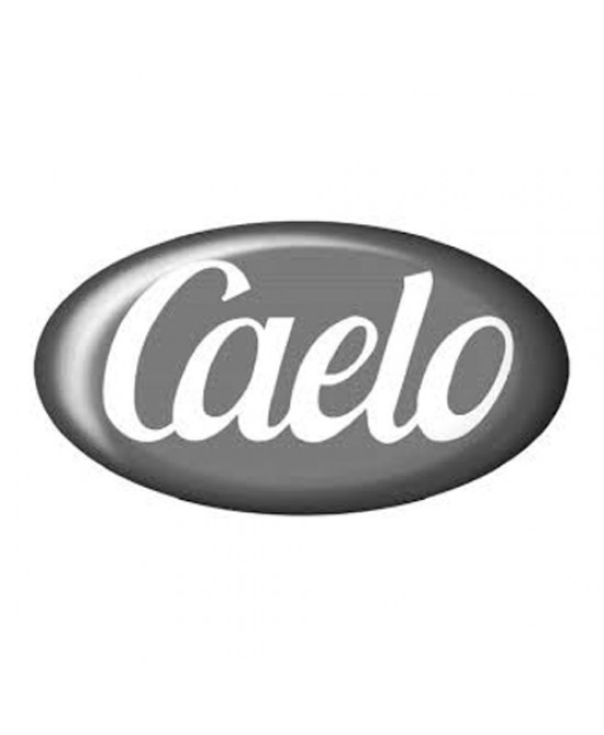 Caelo caesar & loretz gmbh
