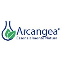 Arcangea srl