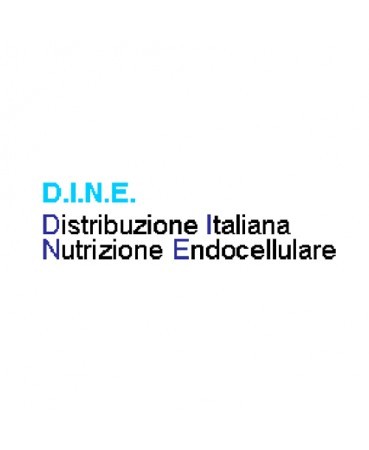 D.i.n.e. srl