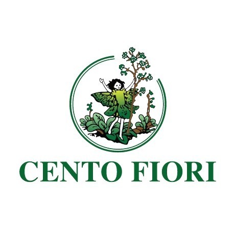 Cento fiori srl