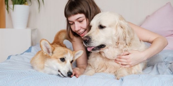 Come prendersi cura degli animali con il caldo