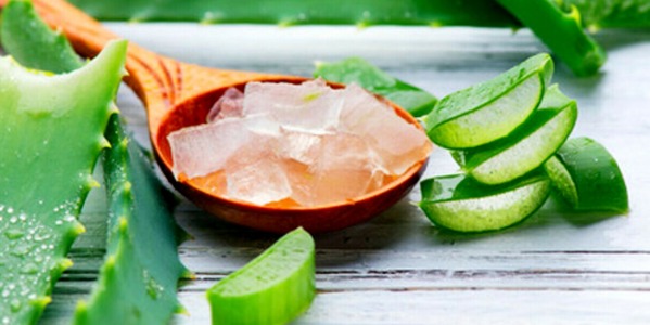 Gel d'Aloe Vera: come usarlo?