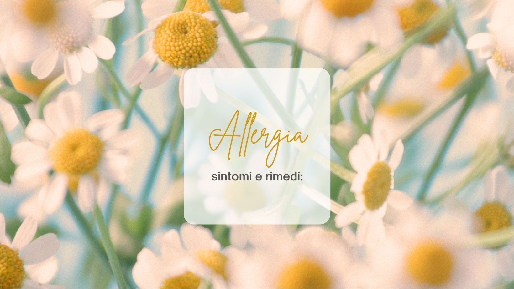 Rinite allergica: cause e rimedi!