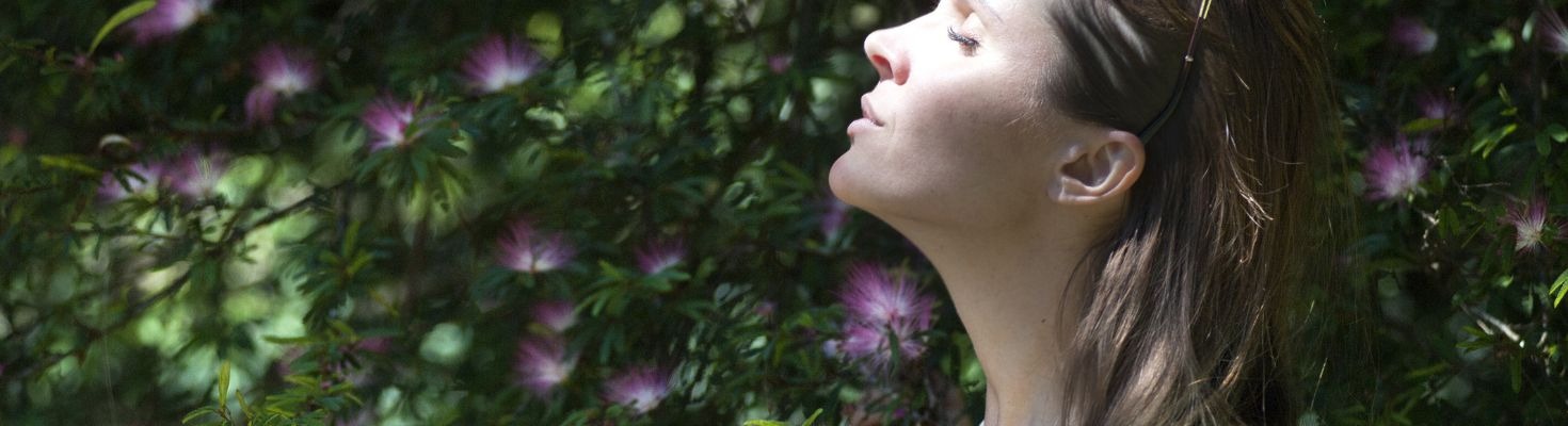 Guida agli integratori di vitamina D: perché sono importanti?