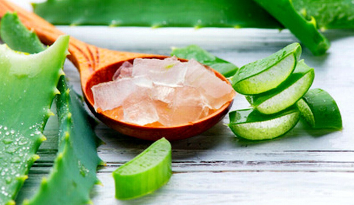 Gel d'Aloe Vera: come usarlo?